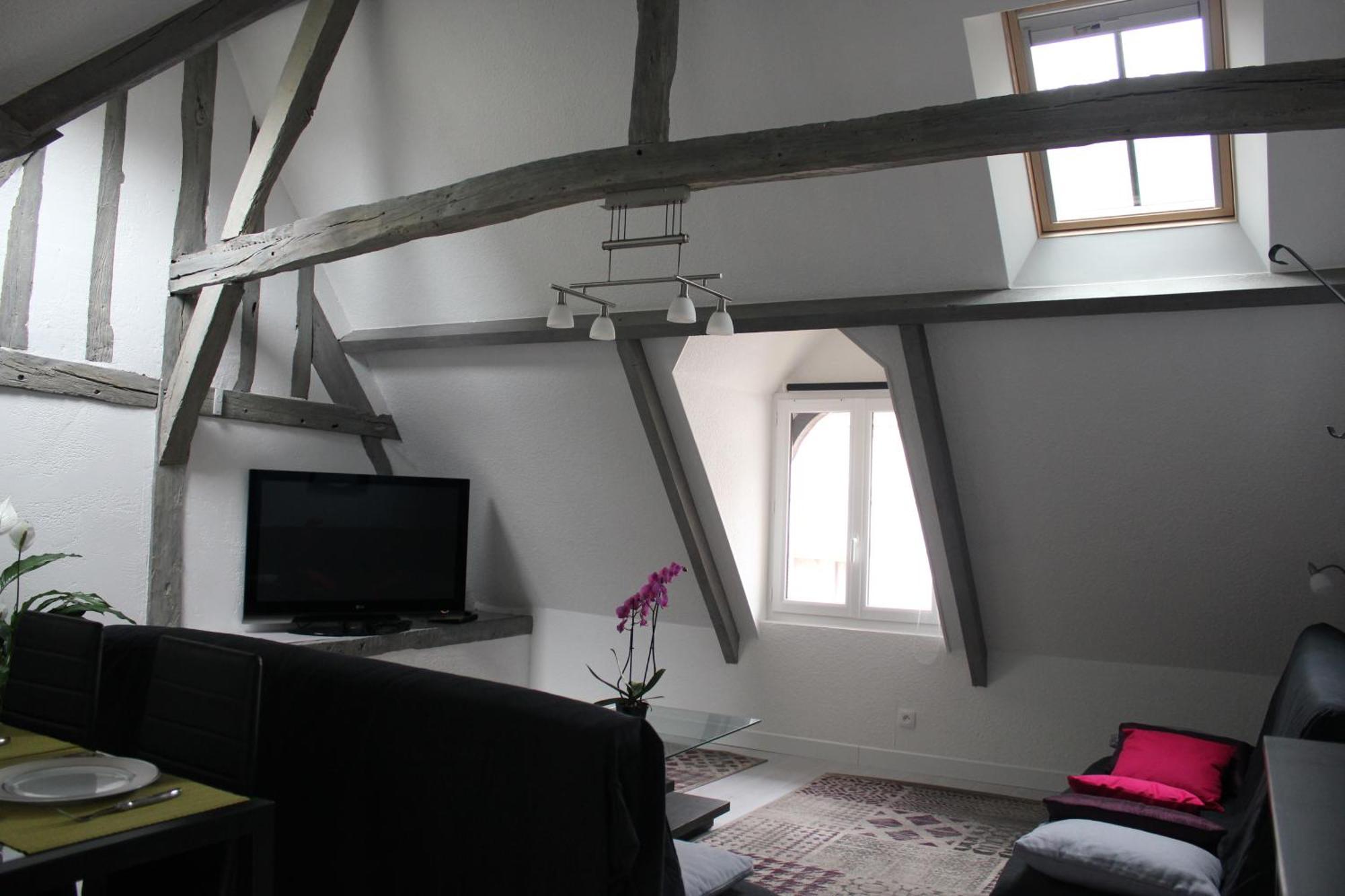 Apartamento Le Logis De La Tour Amboise Exterior foto